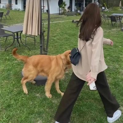 女孩的战地滑板课